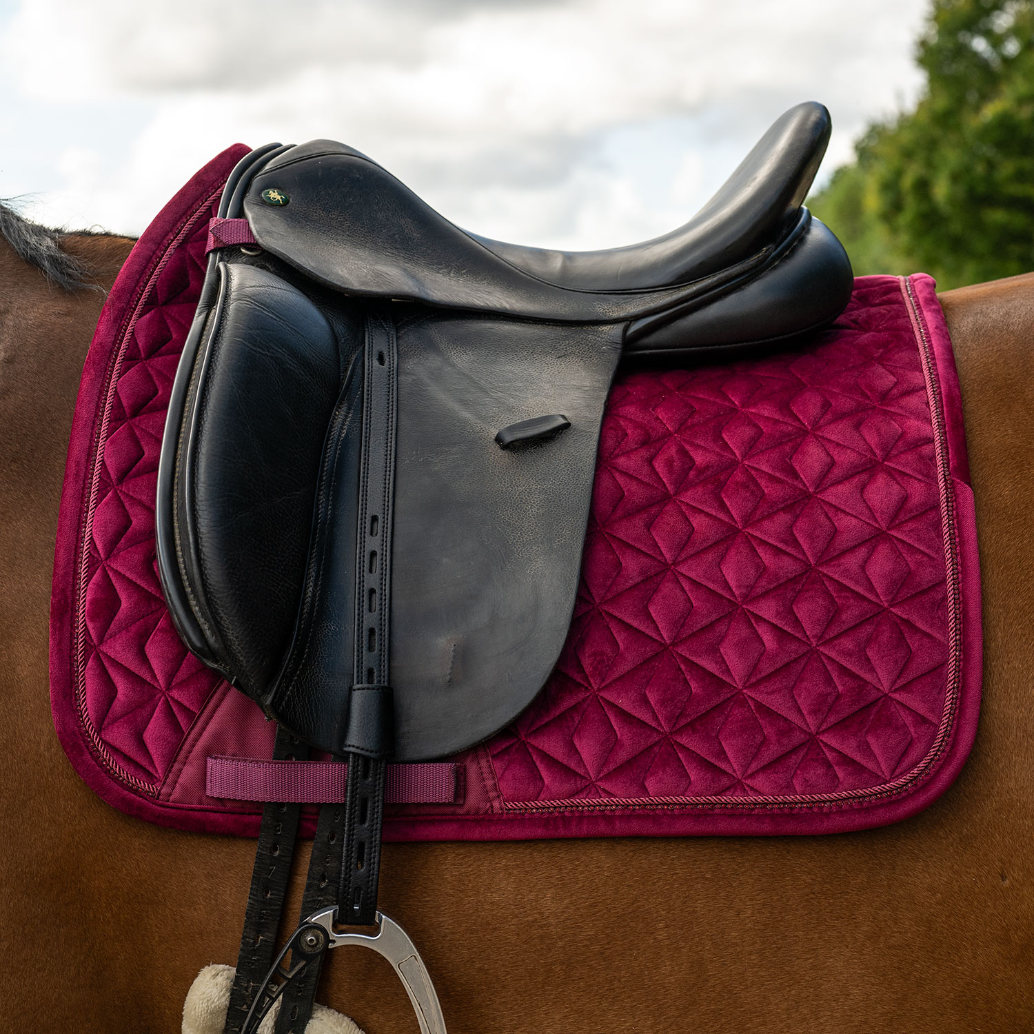 Dressyrschabrak Baroque Fairfield®