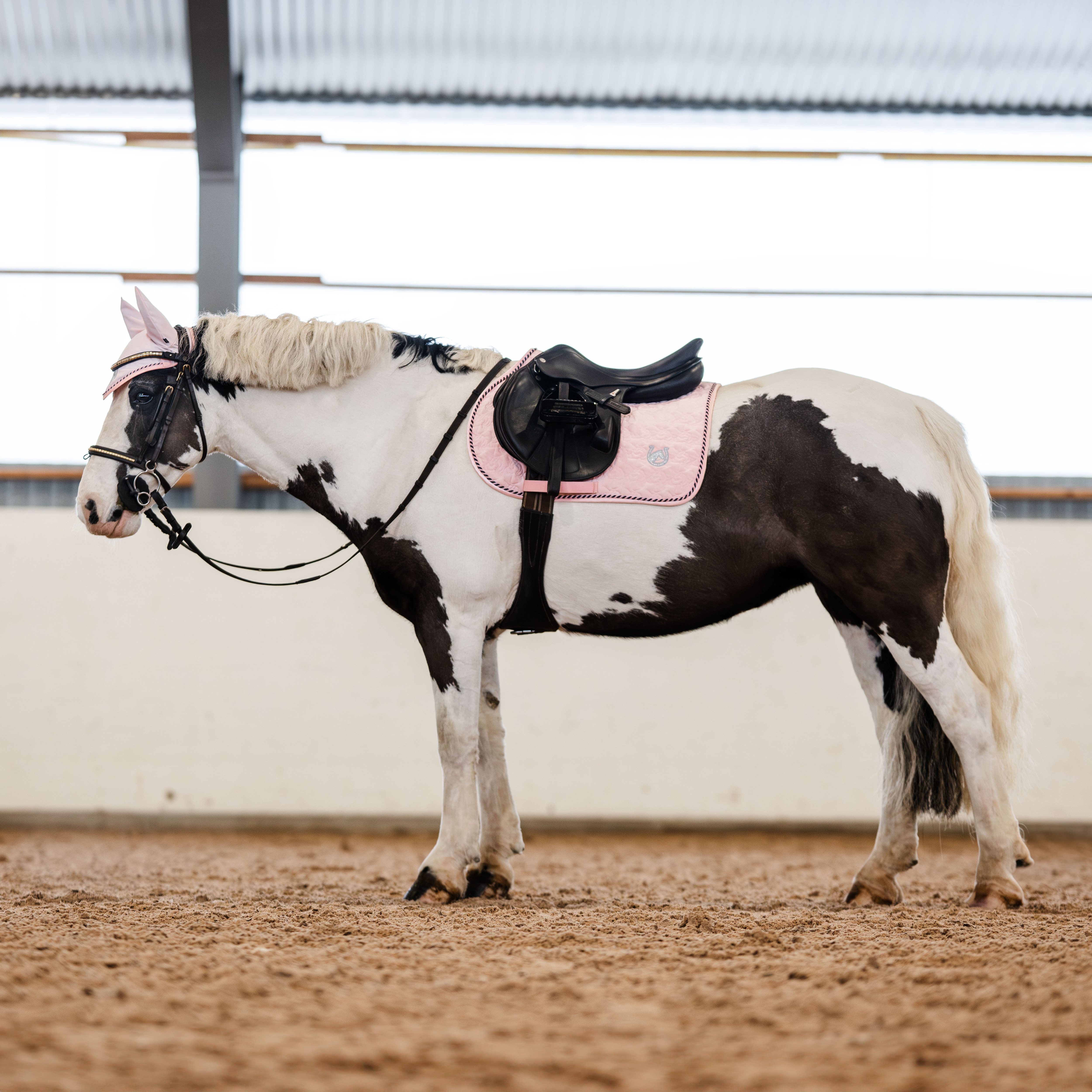 Allroundschabrak Silas CRW®