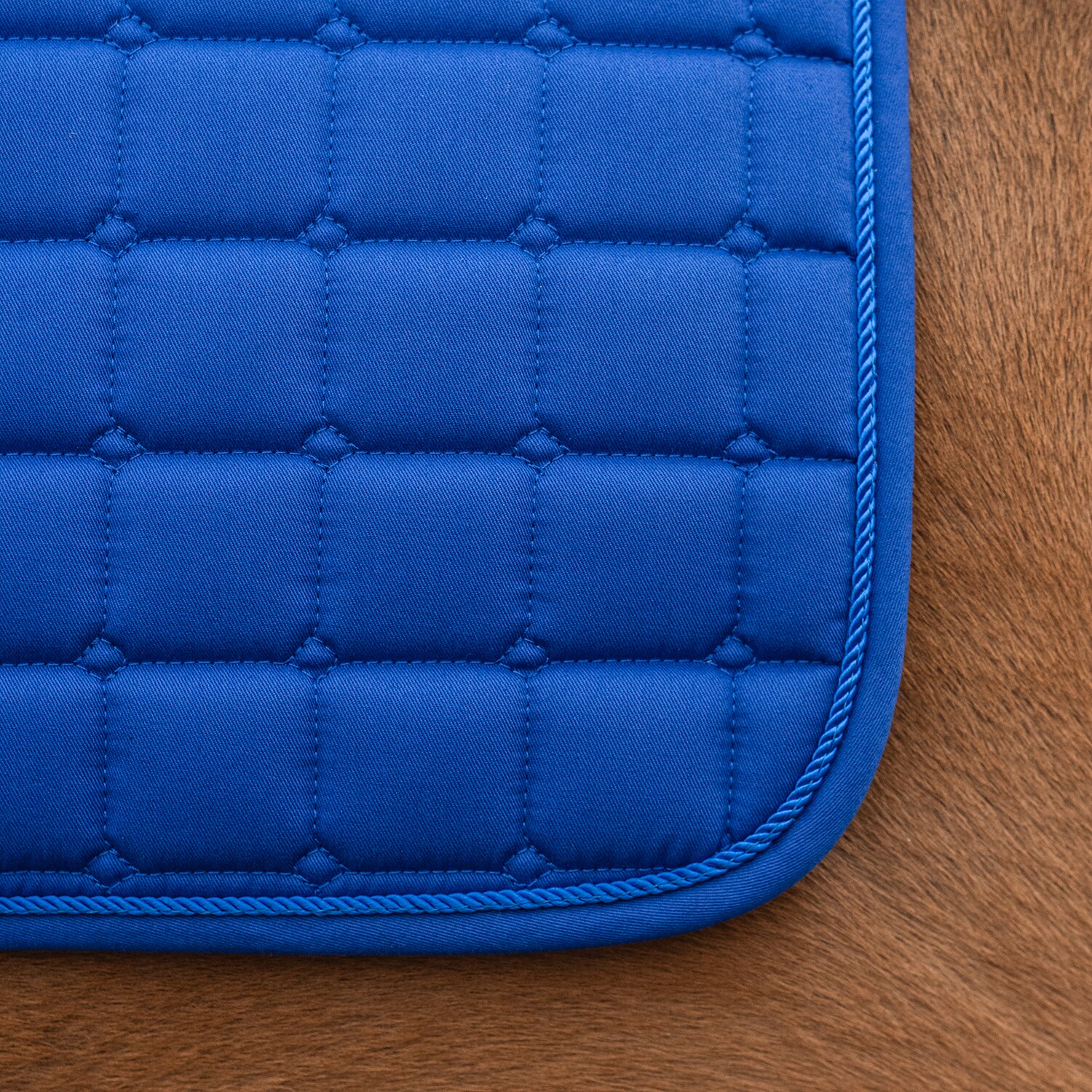 Dressyrschabrak Kerry Fairfield®