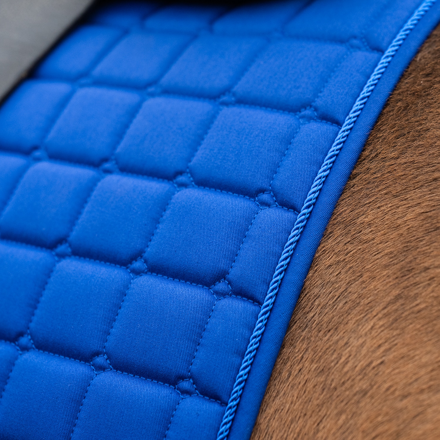 Dressyrschabrak Kerry Fairfield®