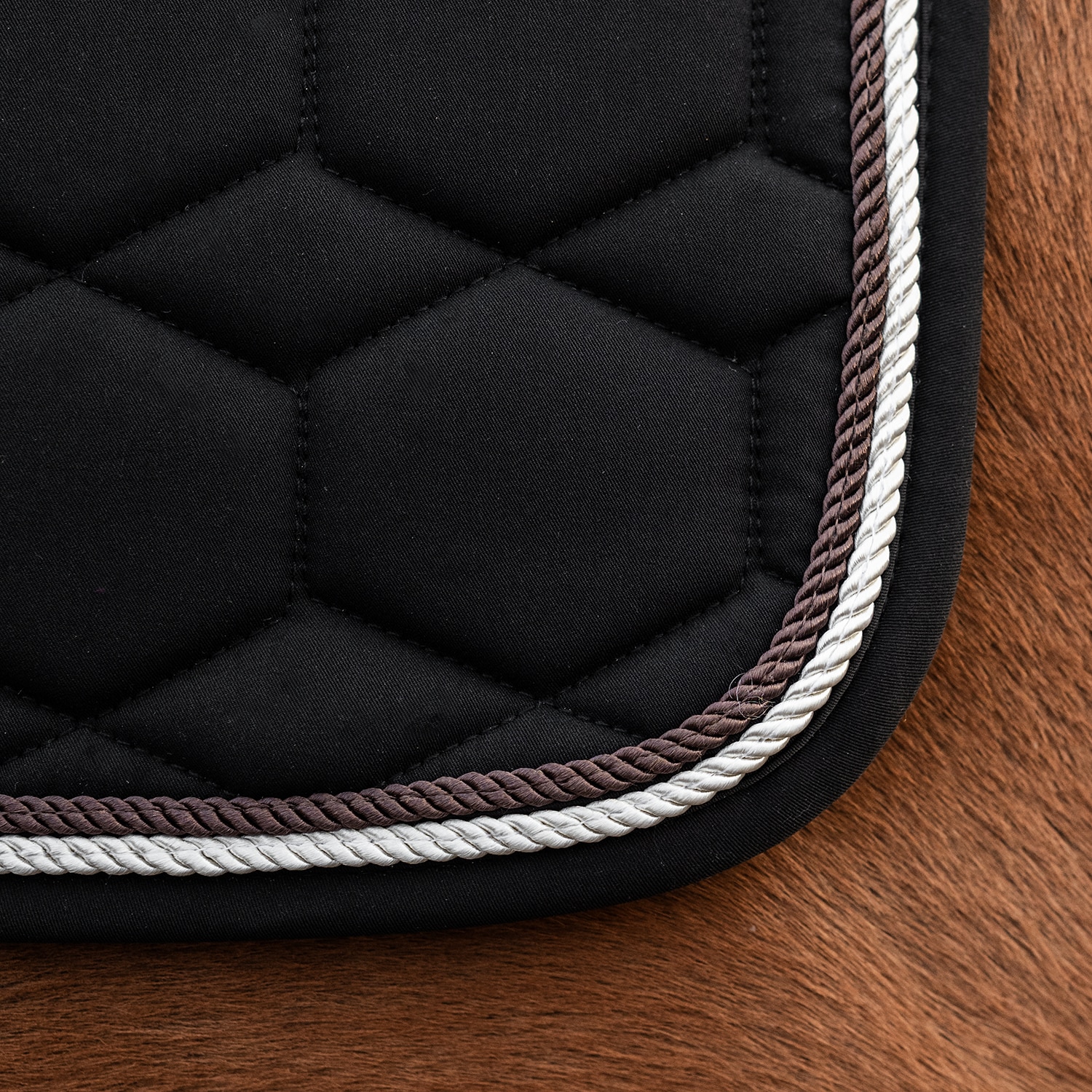 Dressyrschabrak Burghley Fairfield®