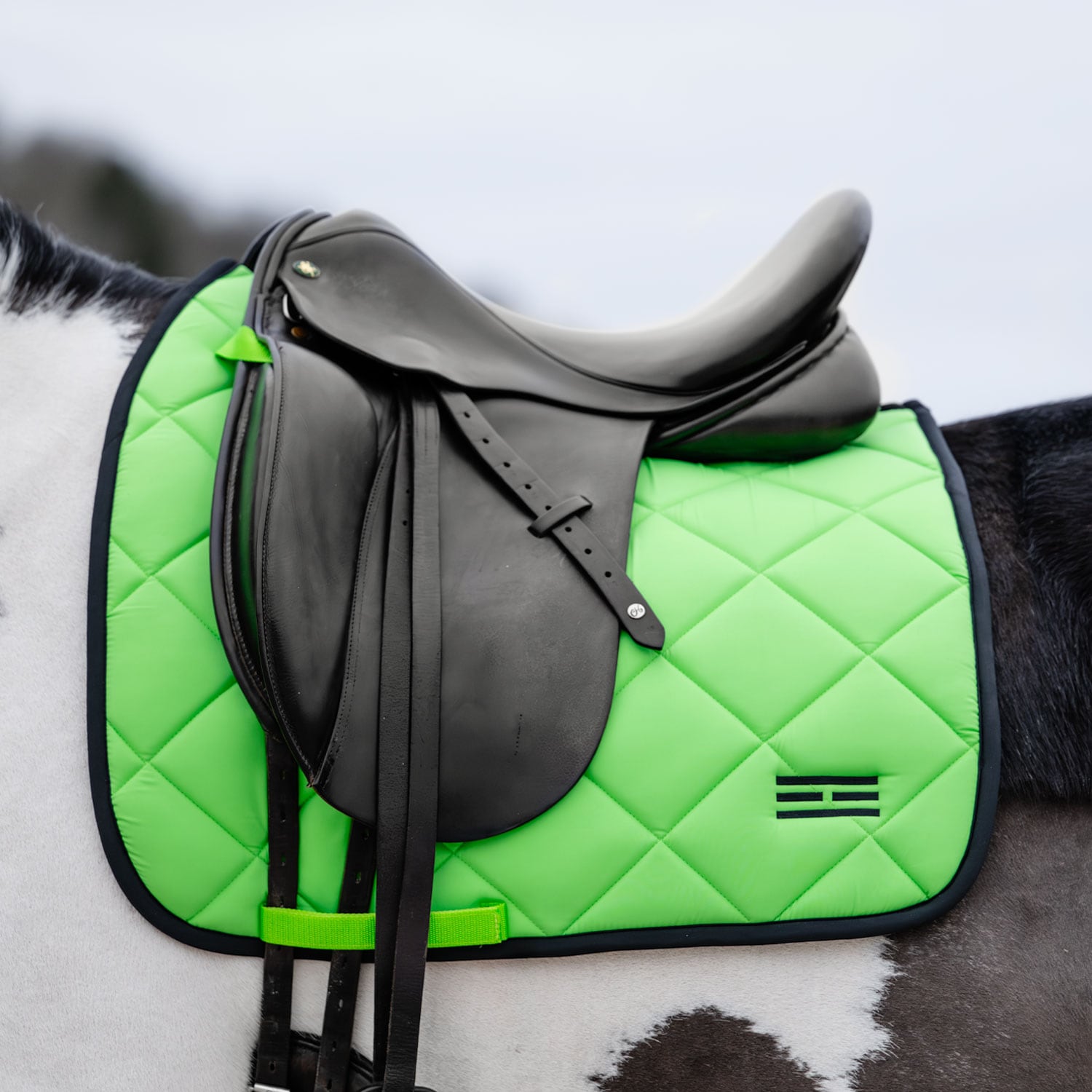 Dressyrschabrak Miami Fairfield®