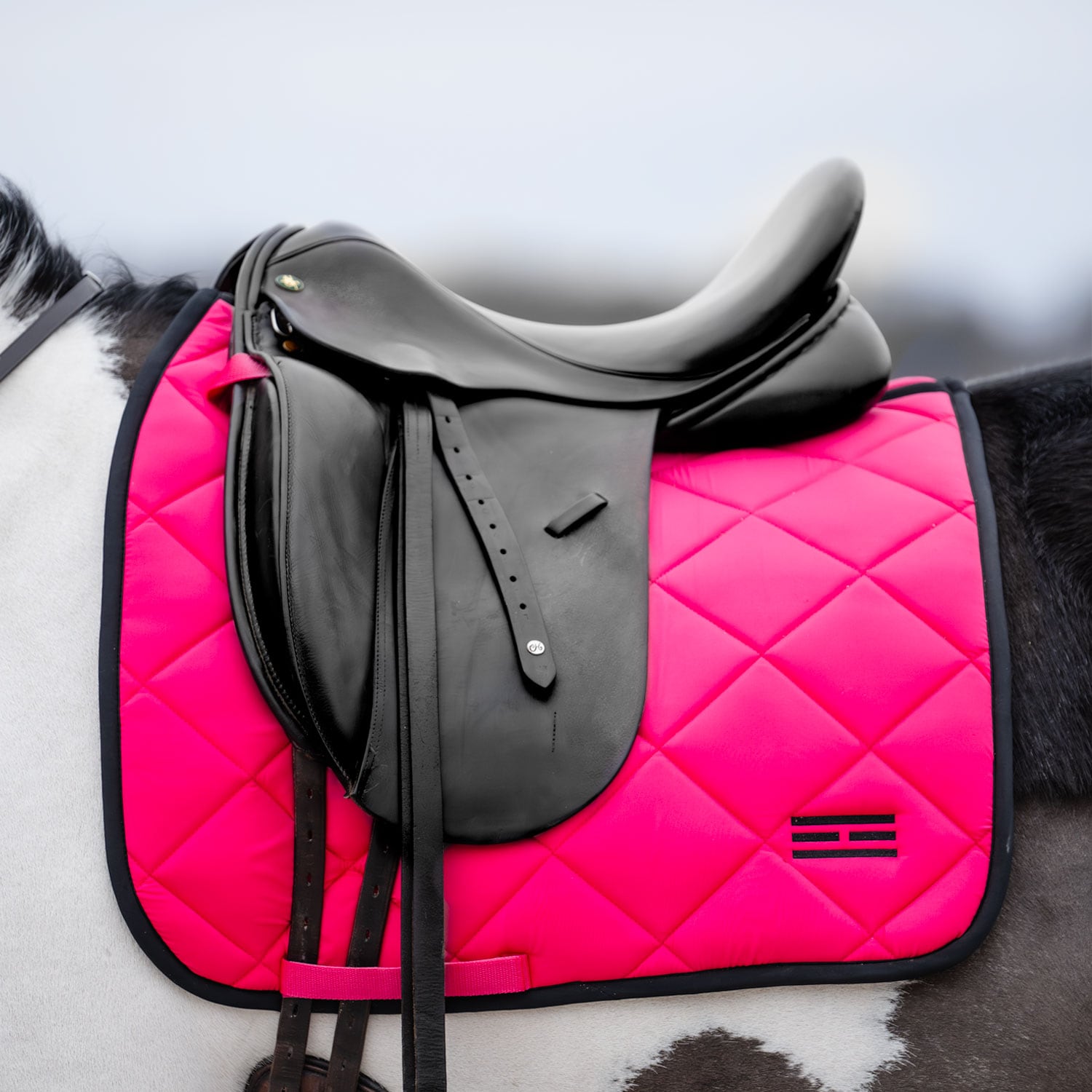 Dressyrschabrak Miami Fairfield®