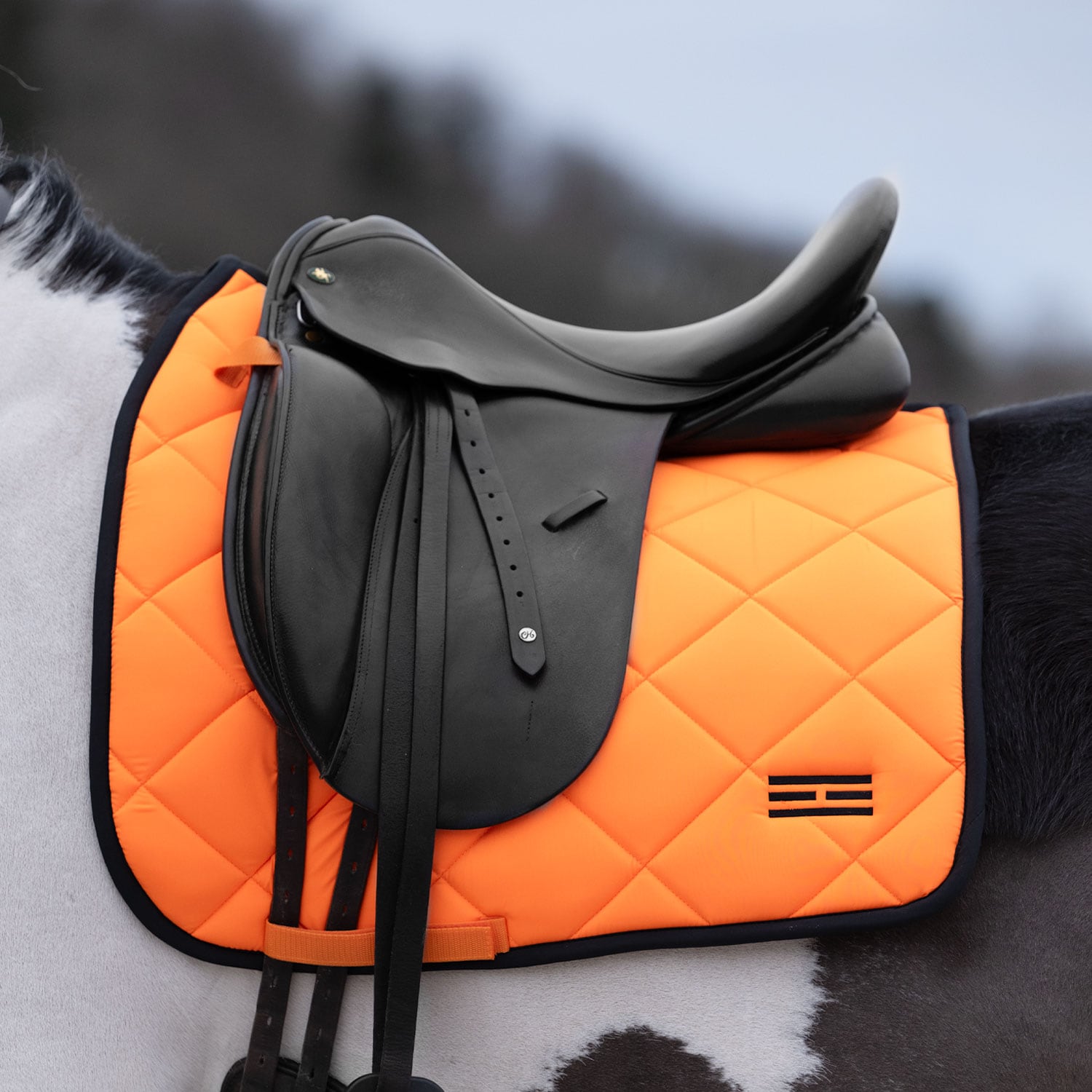 Dressyrschabrak Miami Fairfield®