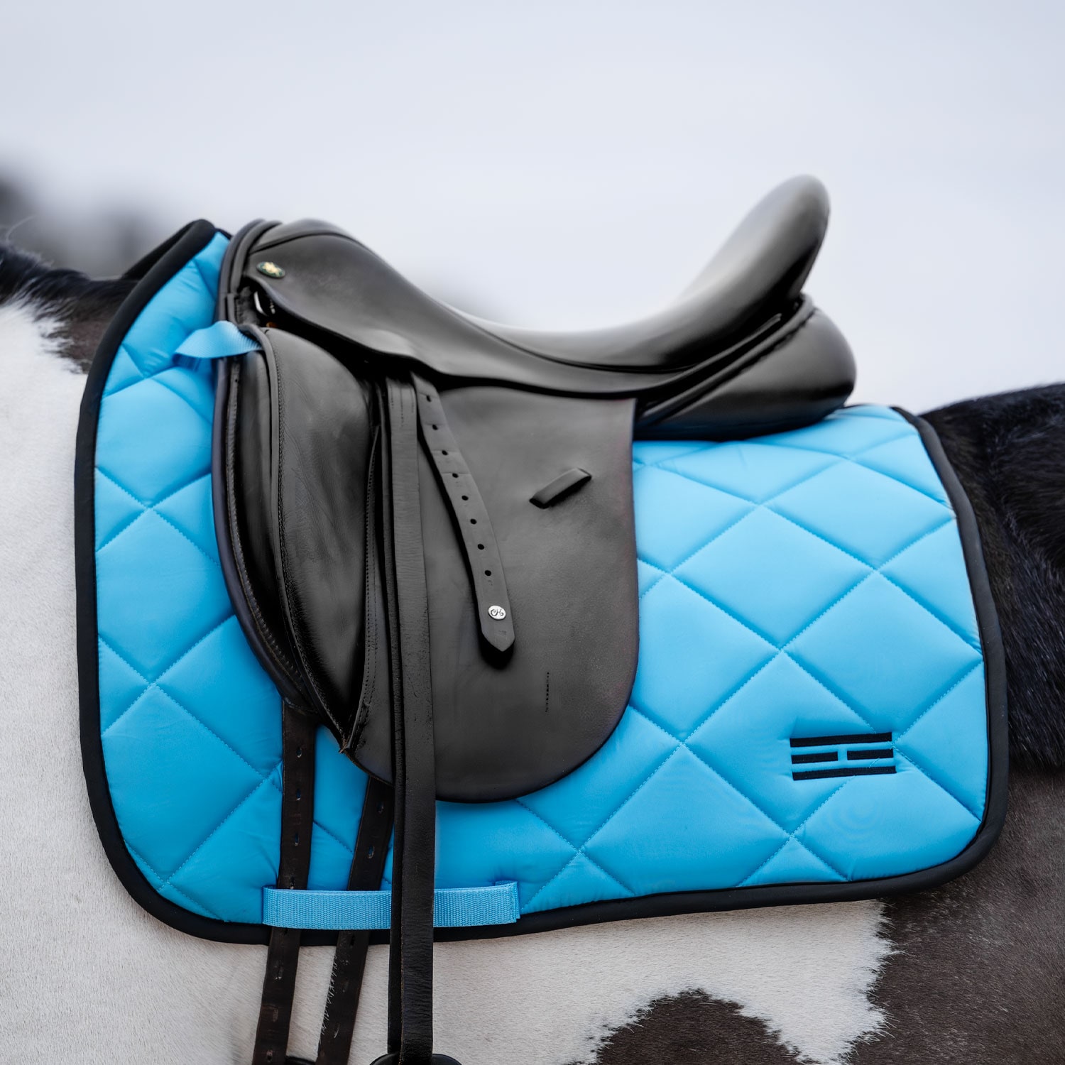 Dressyrschabrak Miami Fairfield®