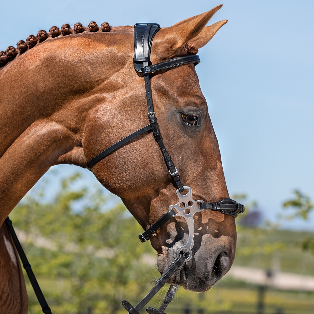 Sidostycken Hackamore  Fairfield®