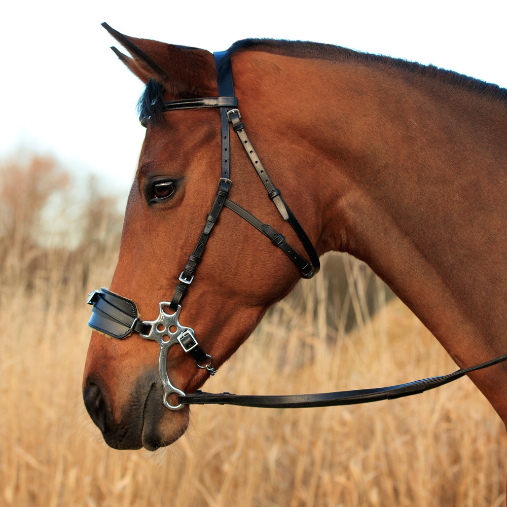 Sidostycken Hackamore  Fairfield®