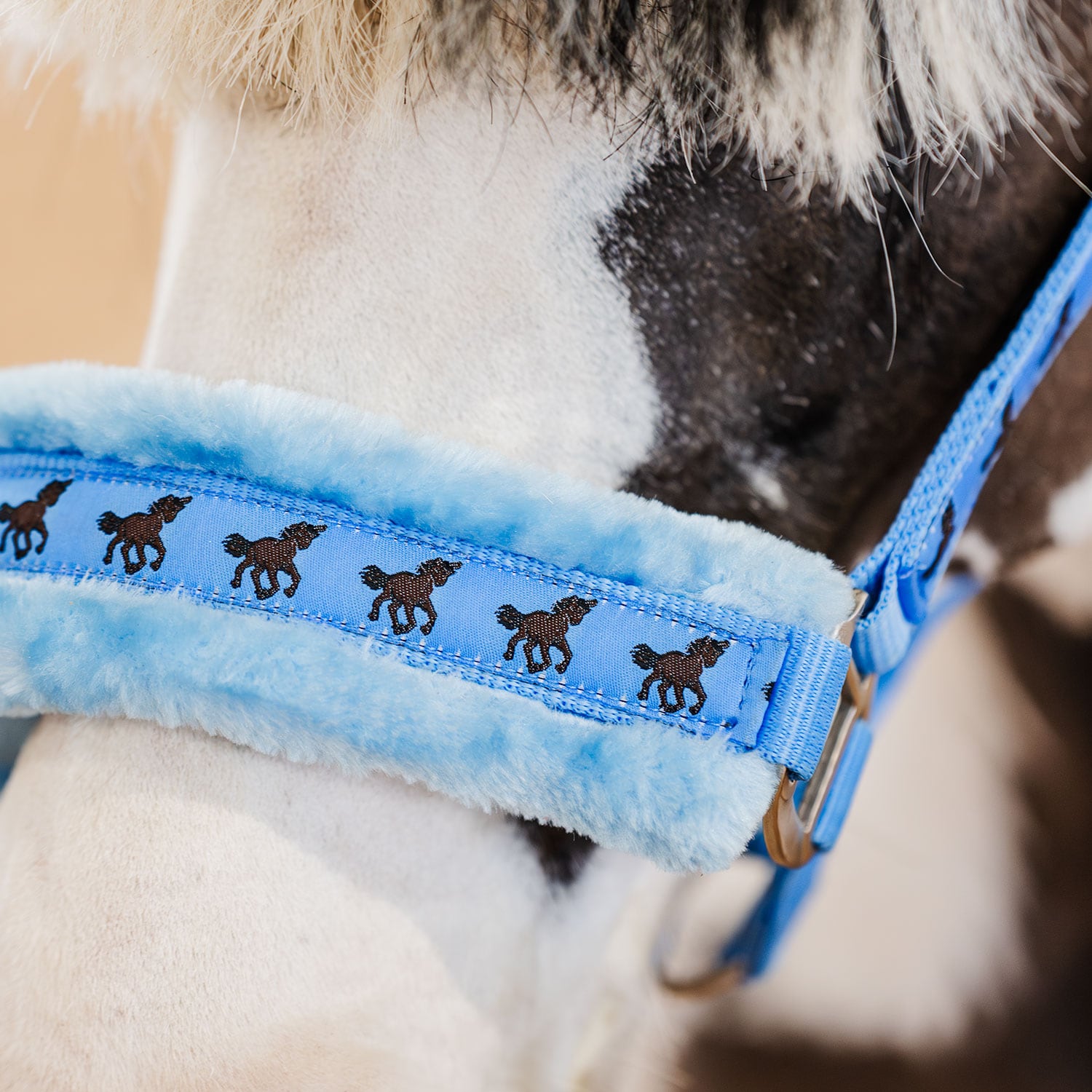 Grimma Robin Fairfield®