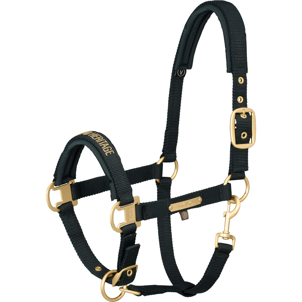 Grimma  Heritage Pin Buckle Gold Eskadron