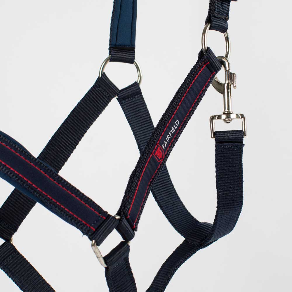 Grimma  Urbino Fairfield®