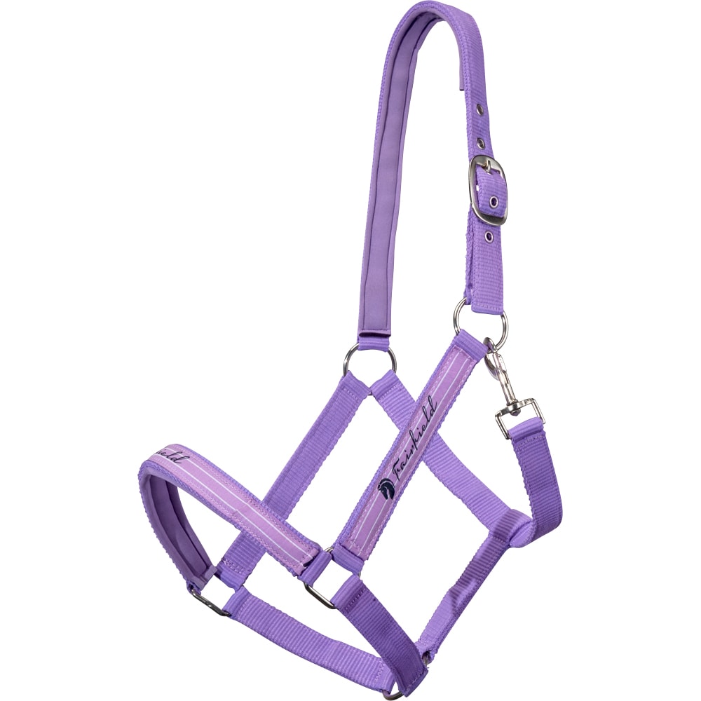 Grimma  Urbino Fairfield®