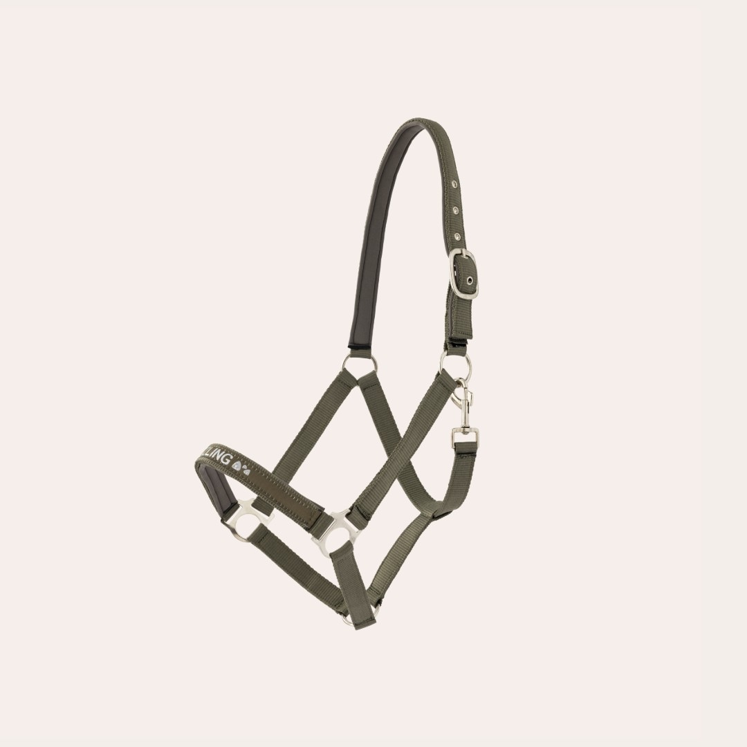 Grimma Honey Fairfield®