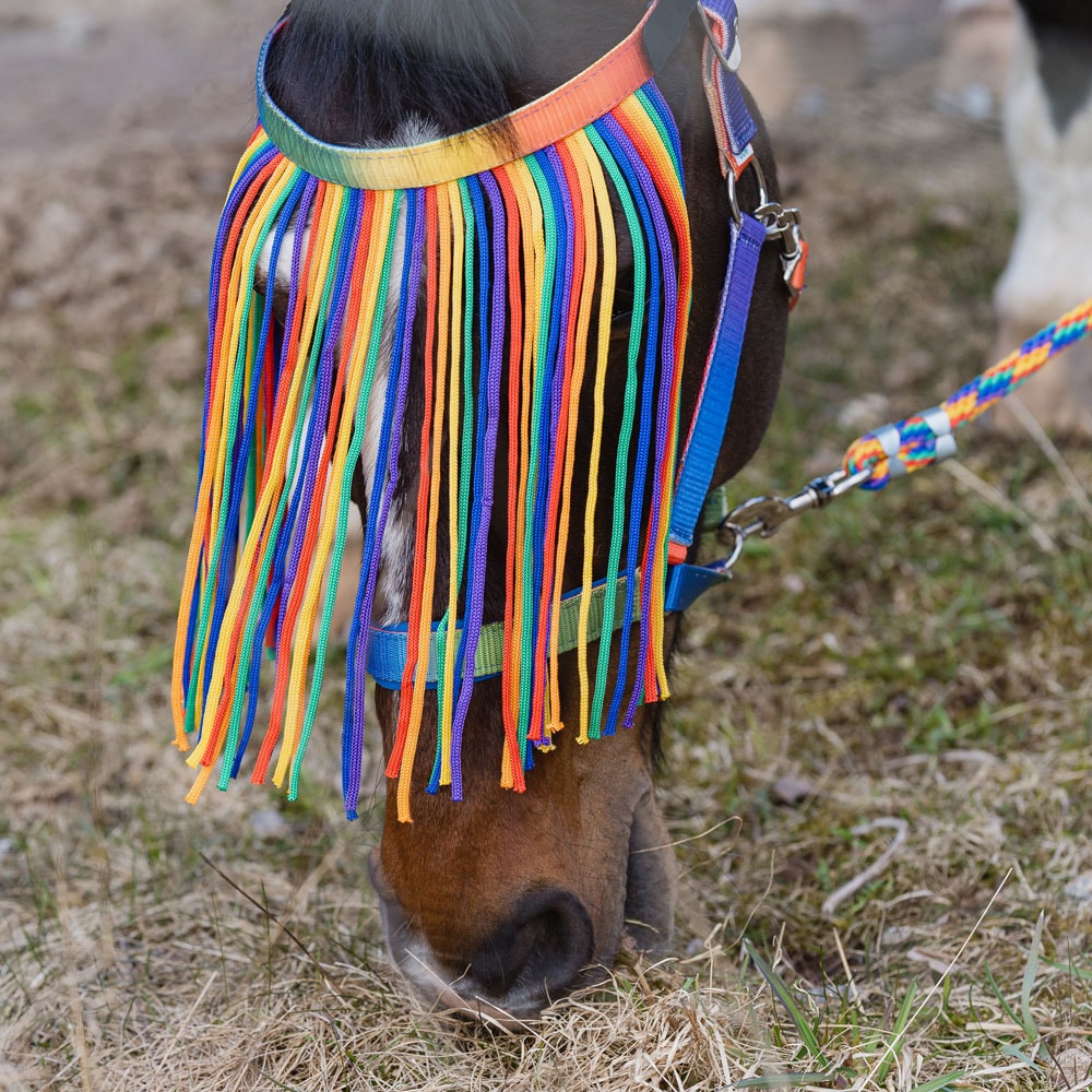 Flugpannband  Rainbow Fairfield®