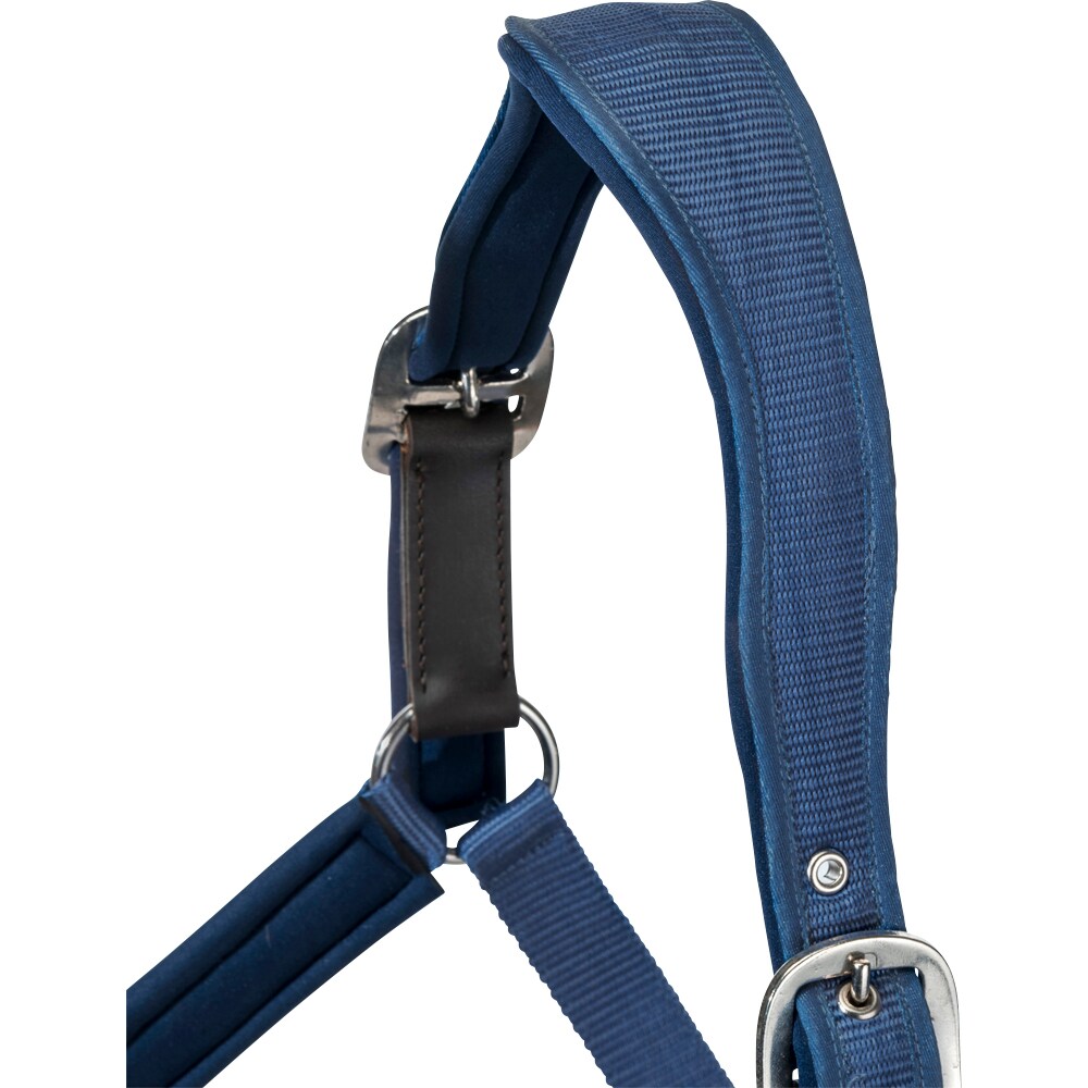 Grimma  Fantus Trinity®