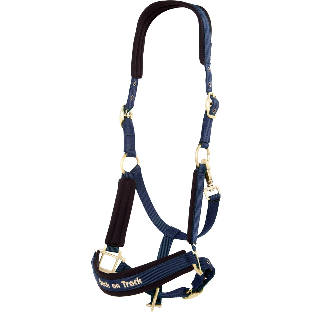 Grimma  Werano Back on Track®