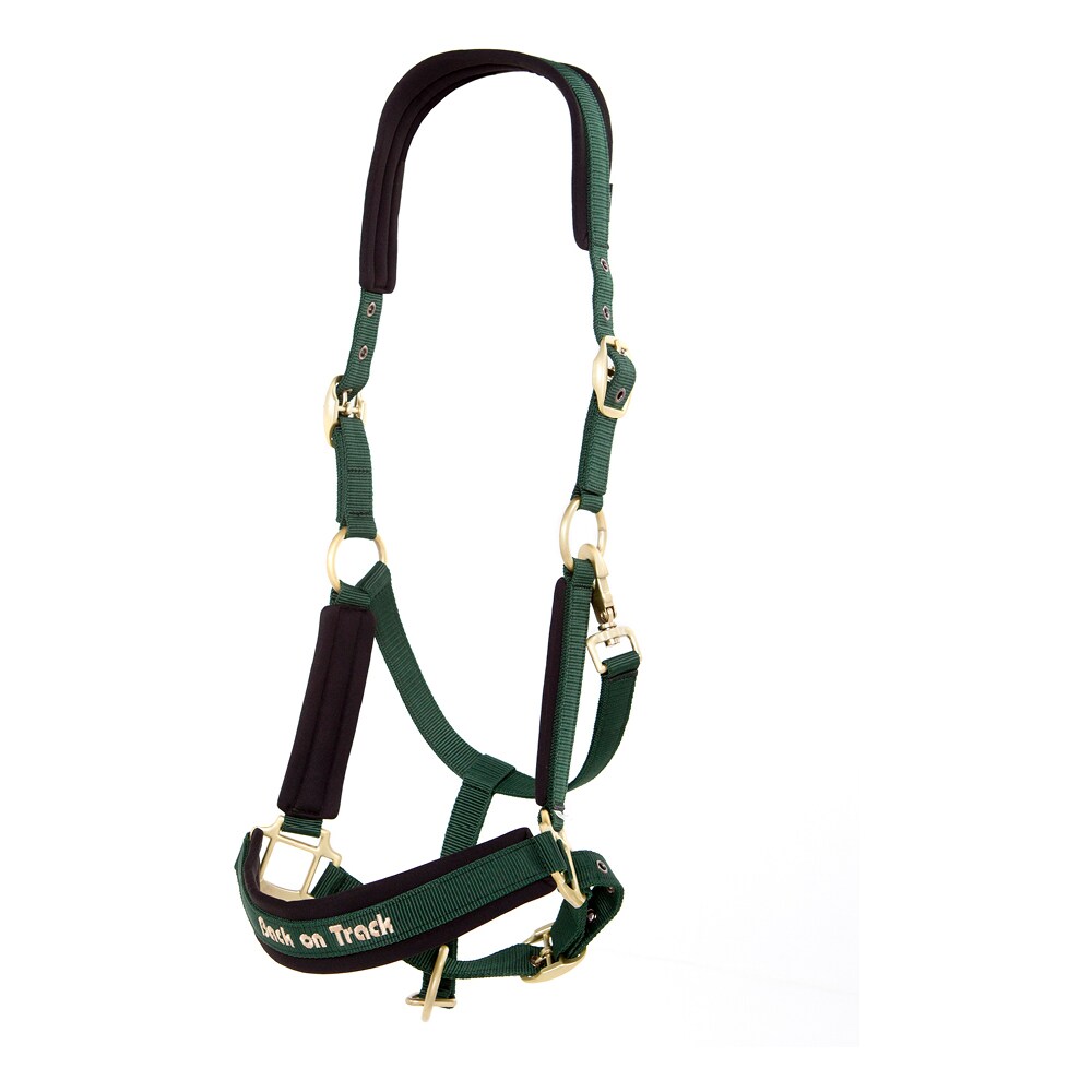 Grimma  Werano Back on Track®