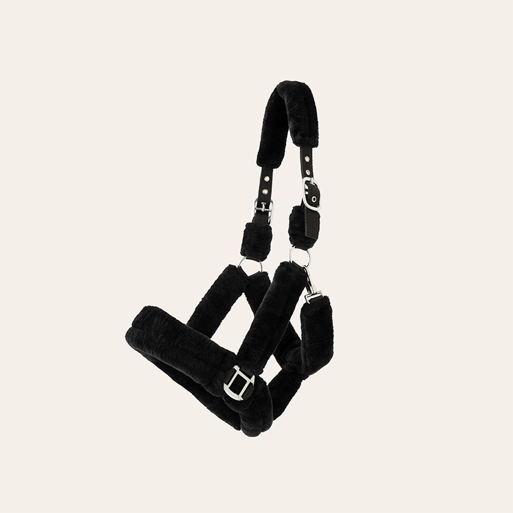 Grimma  Corrado Fairfield®