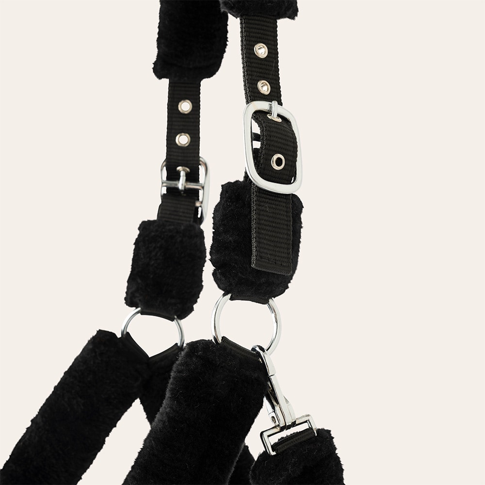 Grimma  Corrado Fairfield®