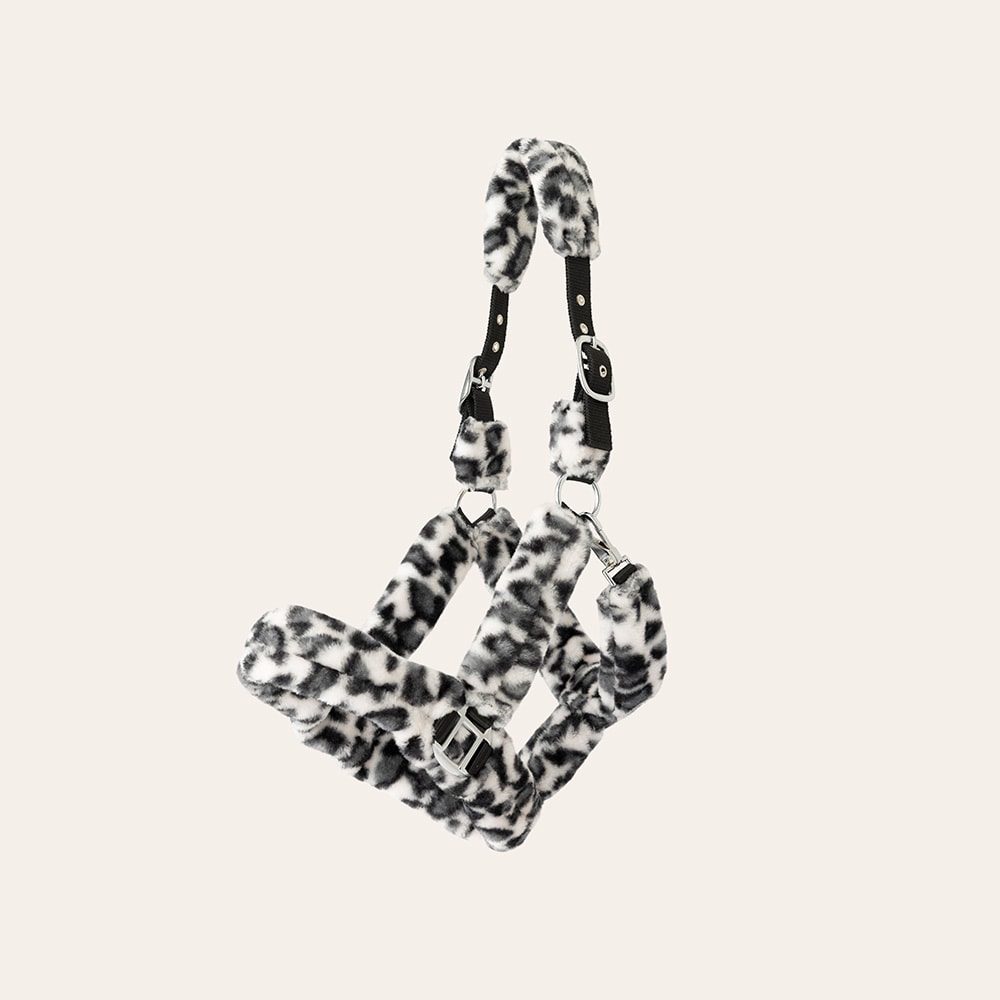 Grimma  Corrado Fairfield®