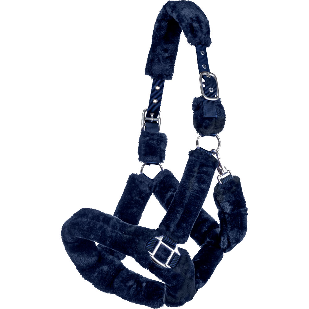 Grimma  Corrado Fairfield®