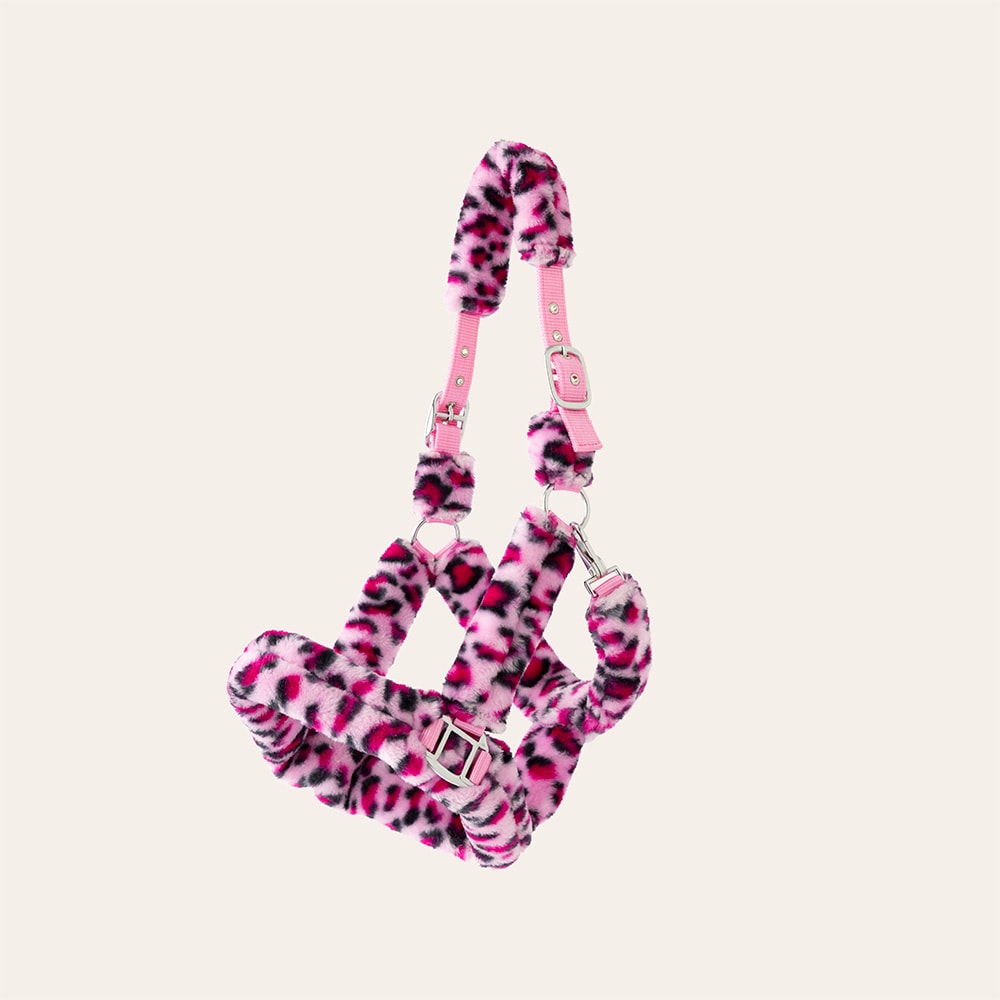 Grimma  Corrado Fairfield®