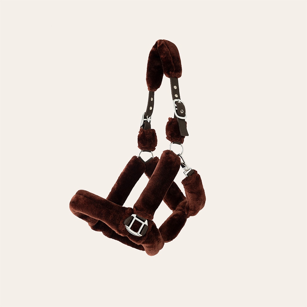 Grimma  Corrado Fairfield®