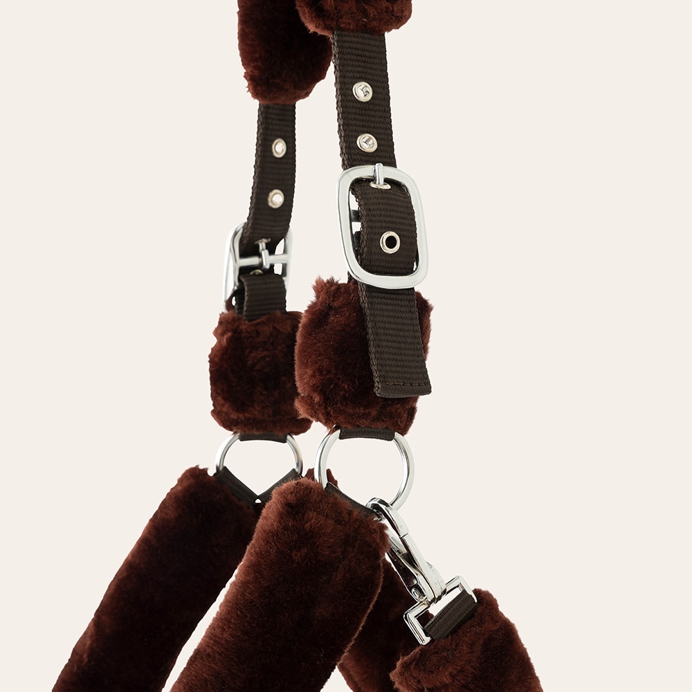 Grimma  Corrado Fairfield®