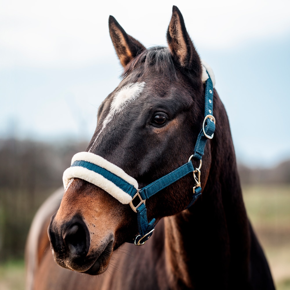 Grimma Furidant Fairfield®