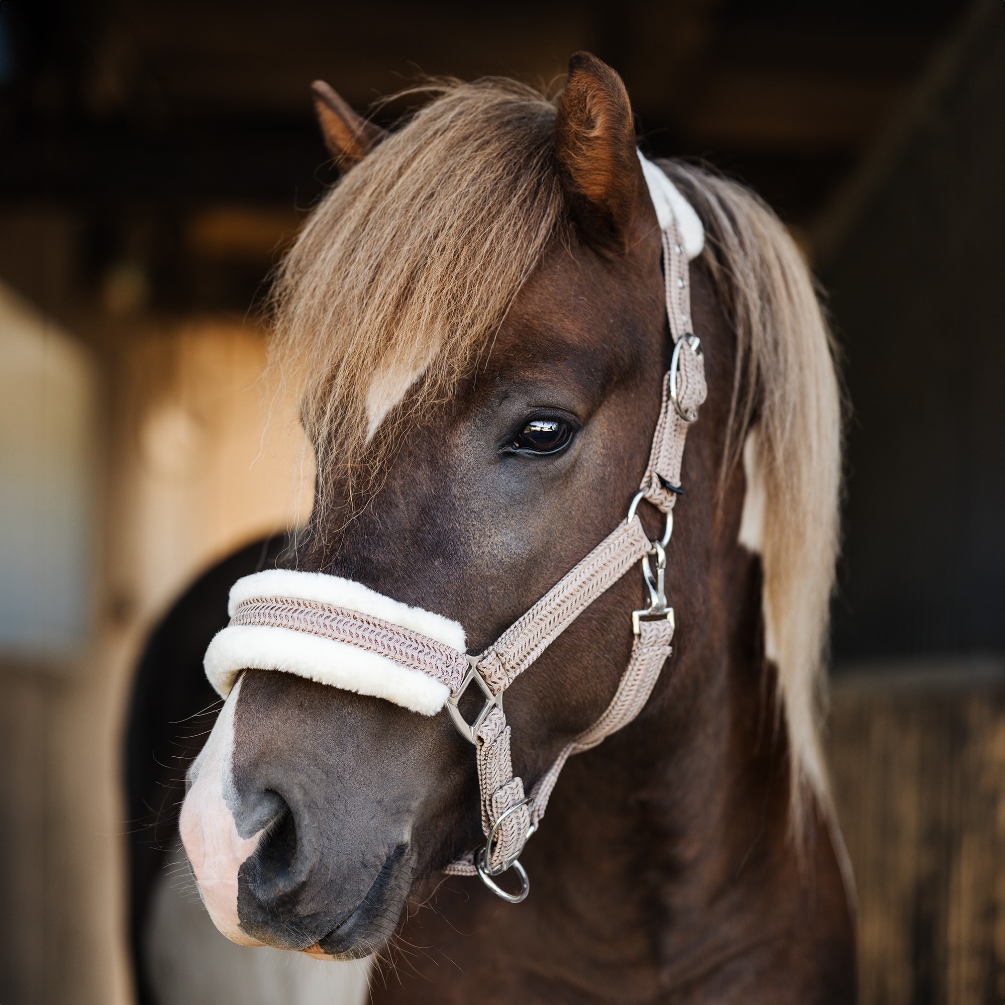 Grimma Furidant Fairfield®