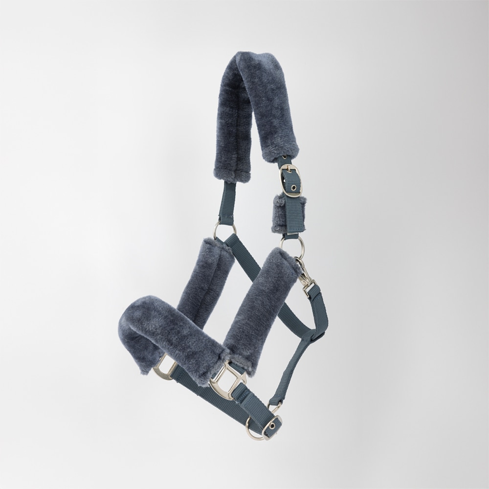 Grimma  Tribun Fairfield®
