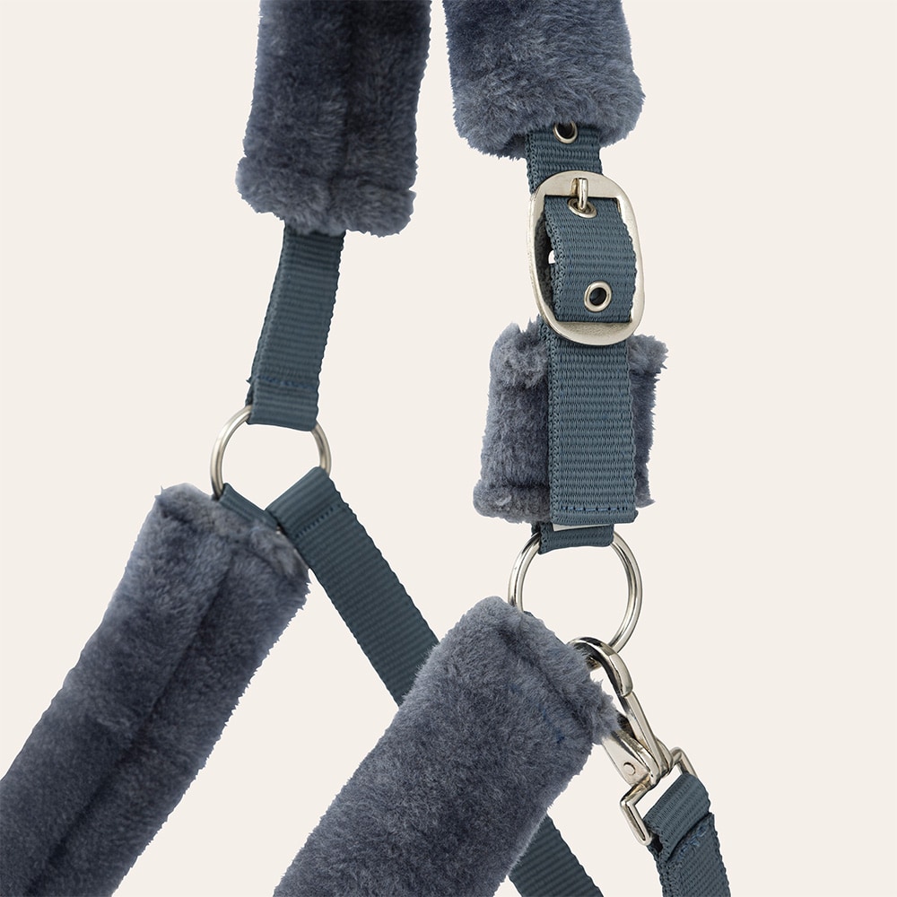 Grimma  Tribun Fairfield®