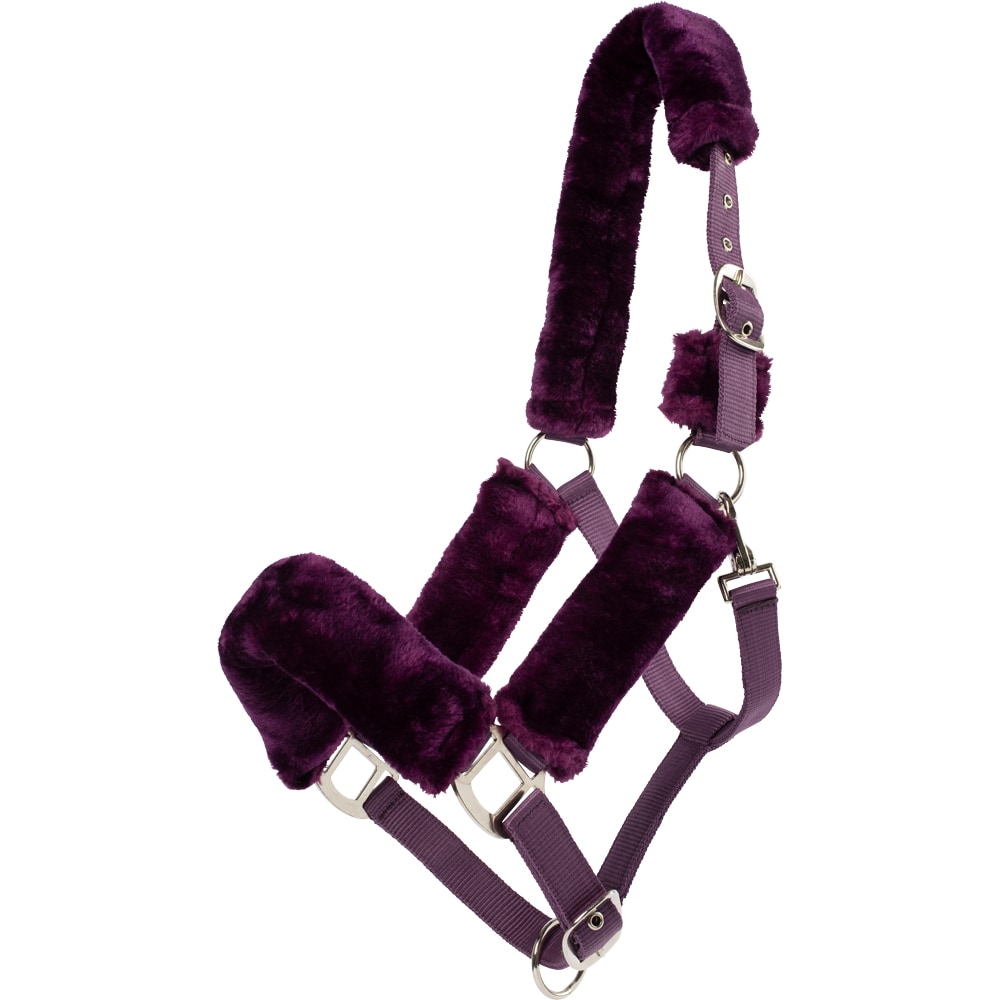 Grimma  Tribun Fairfield®