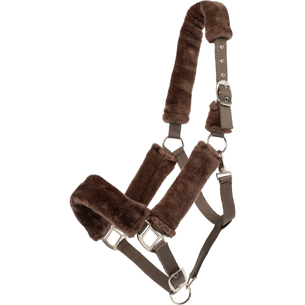 Grimma  Tribun Fairfield®