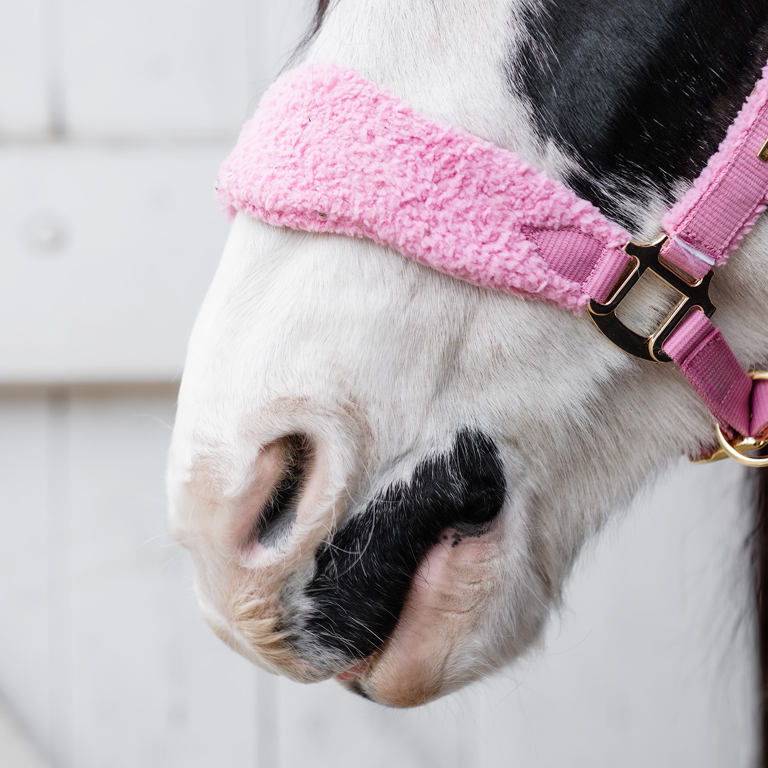 Grimma Levanto JH Collection®