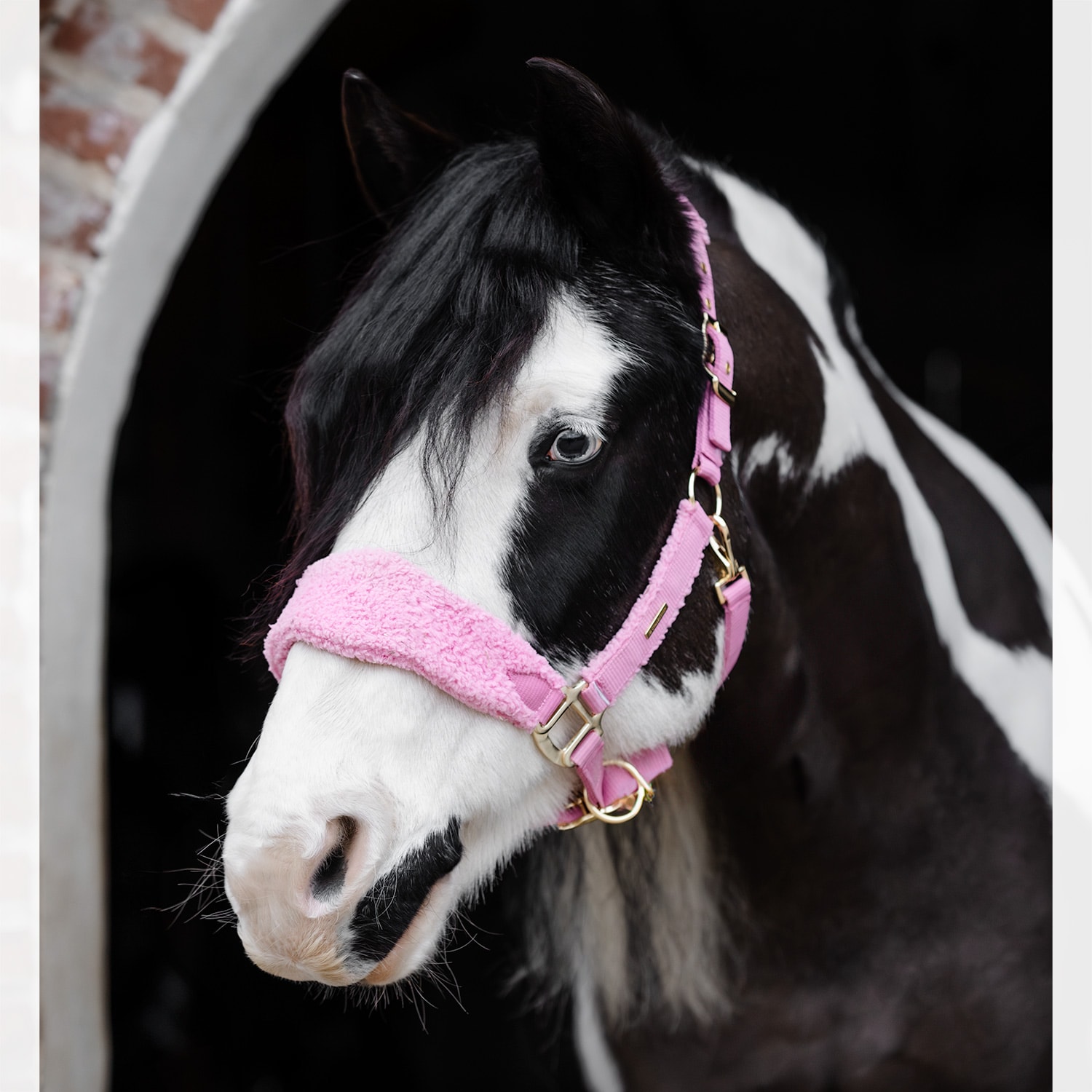 Grimma Levanto JH Collection®