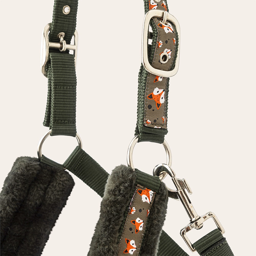 Grimma  Crevan CRW®