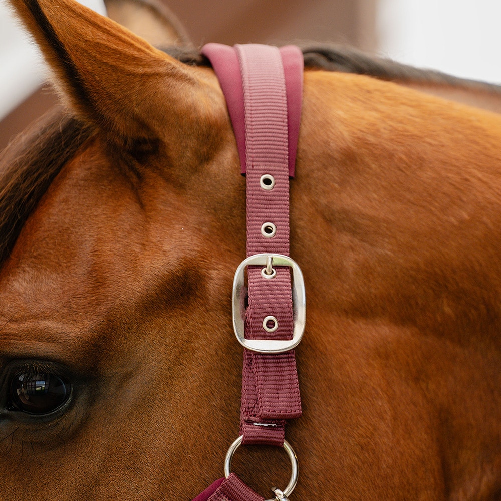 Grimma  Nala Fairfield®