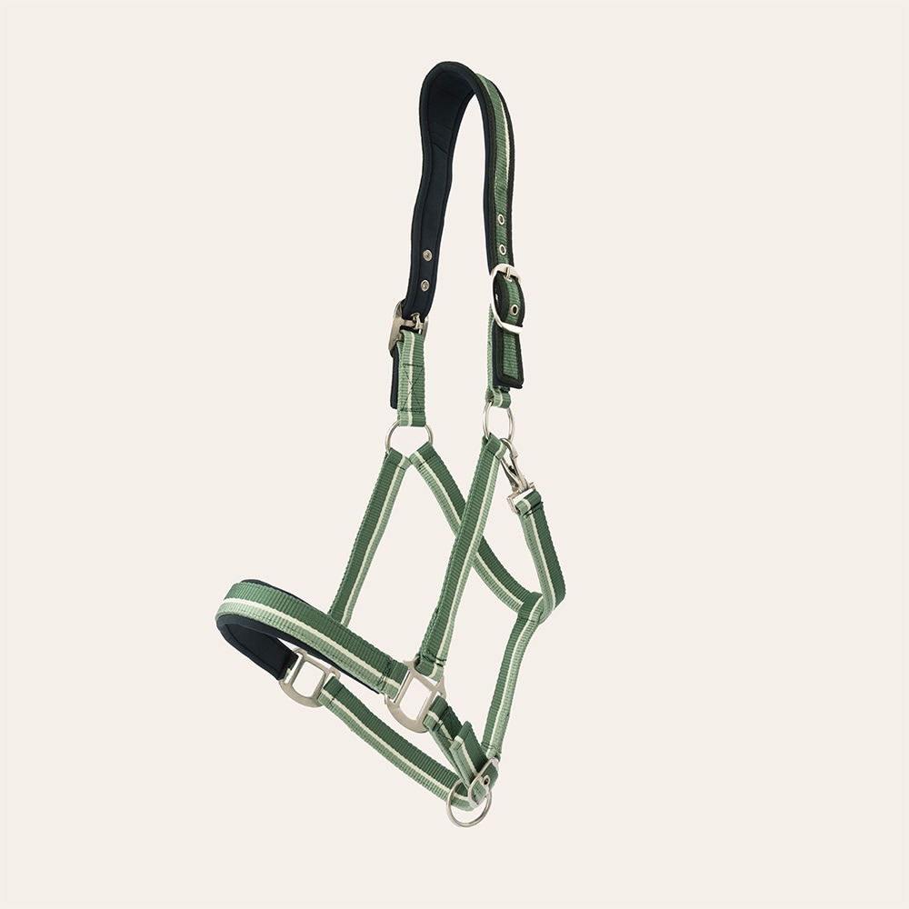 Grimma  Nimmerdor Fairfield®