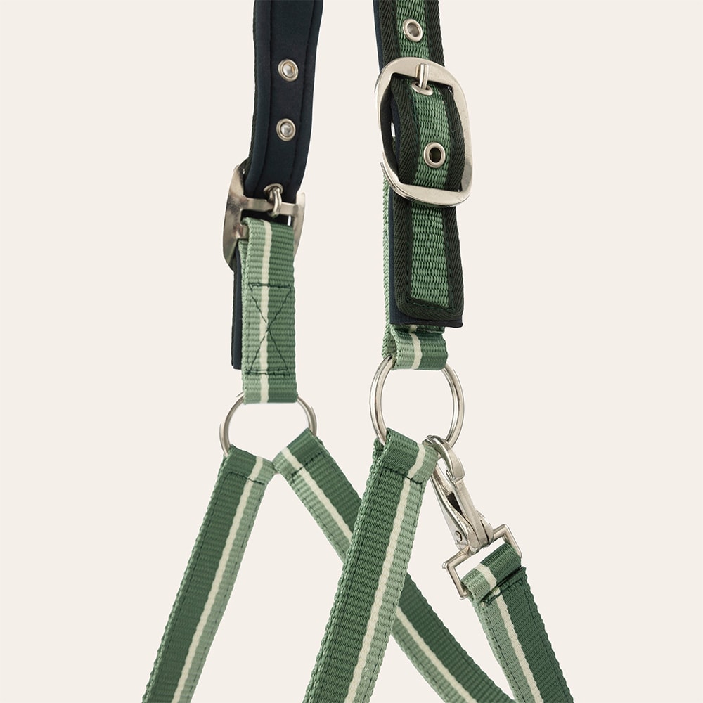 Grimma  Nimmerdor Fairfield®