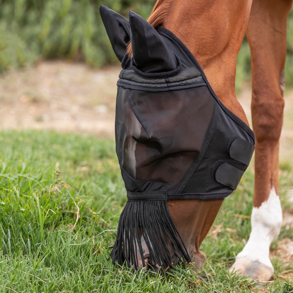 Flughuva  Everglade Buzz EquiXpert®