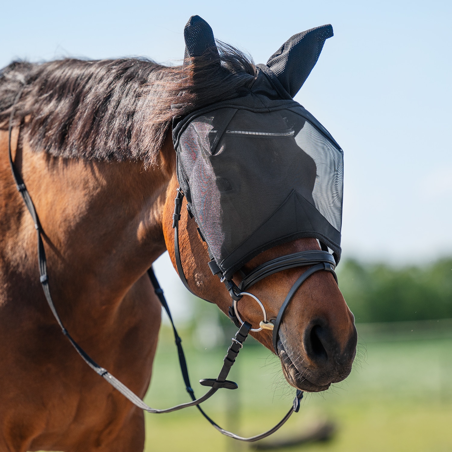 Flughuva  Everglade Rider EquiXpert®