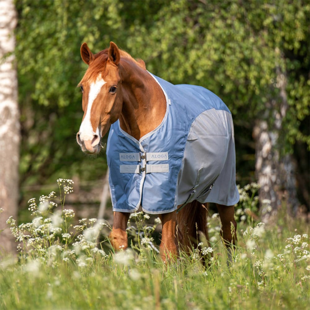 Regn-/Flugtäcke  Fly Dry Aloga Equestrian