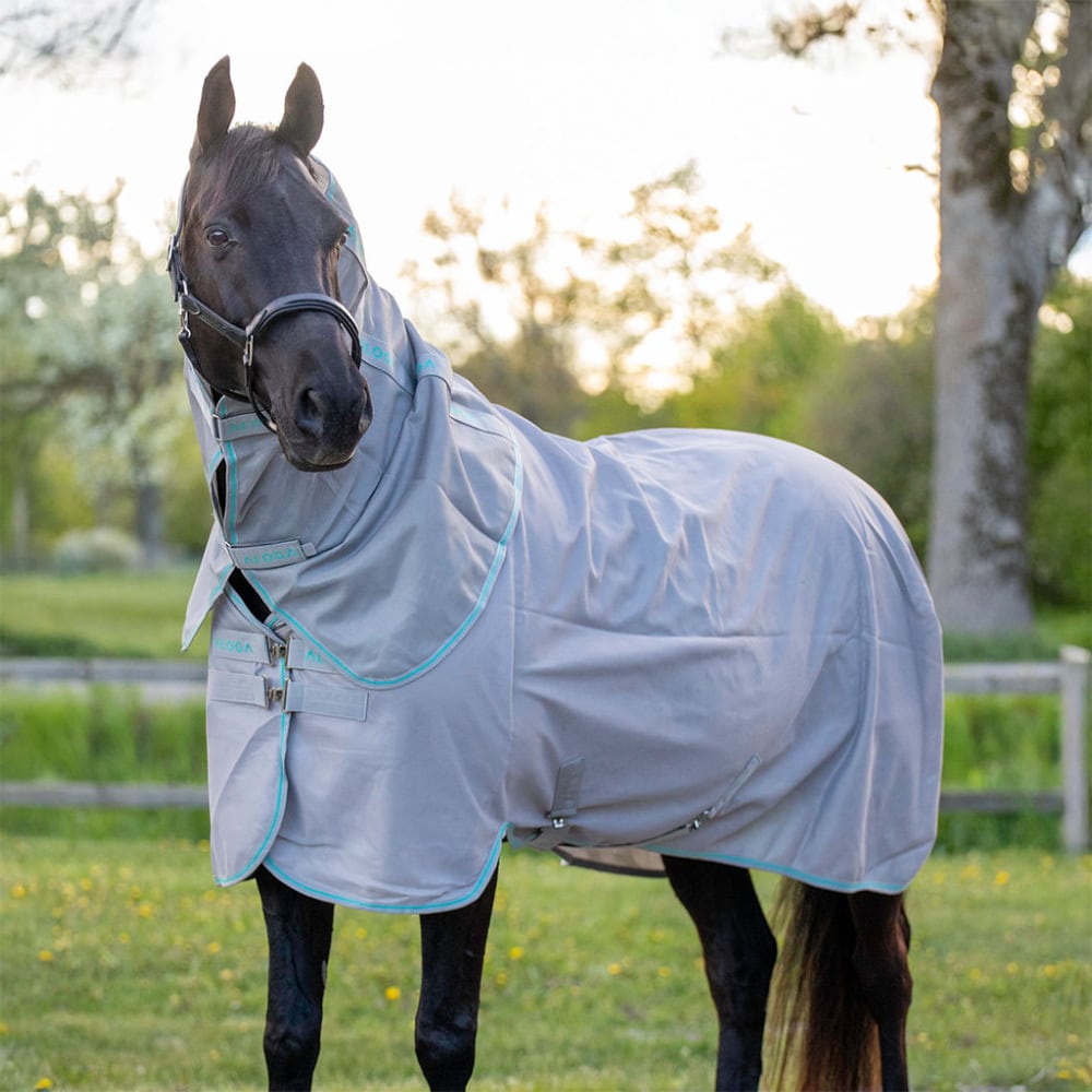 Flugtäcke  Fly Aloga Equestrian