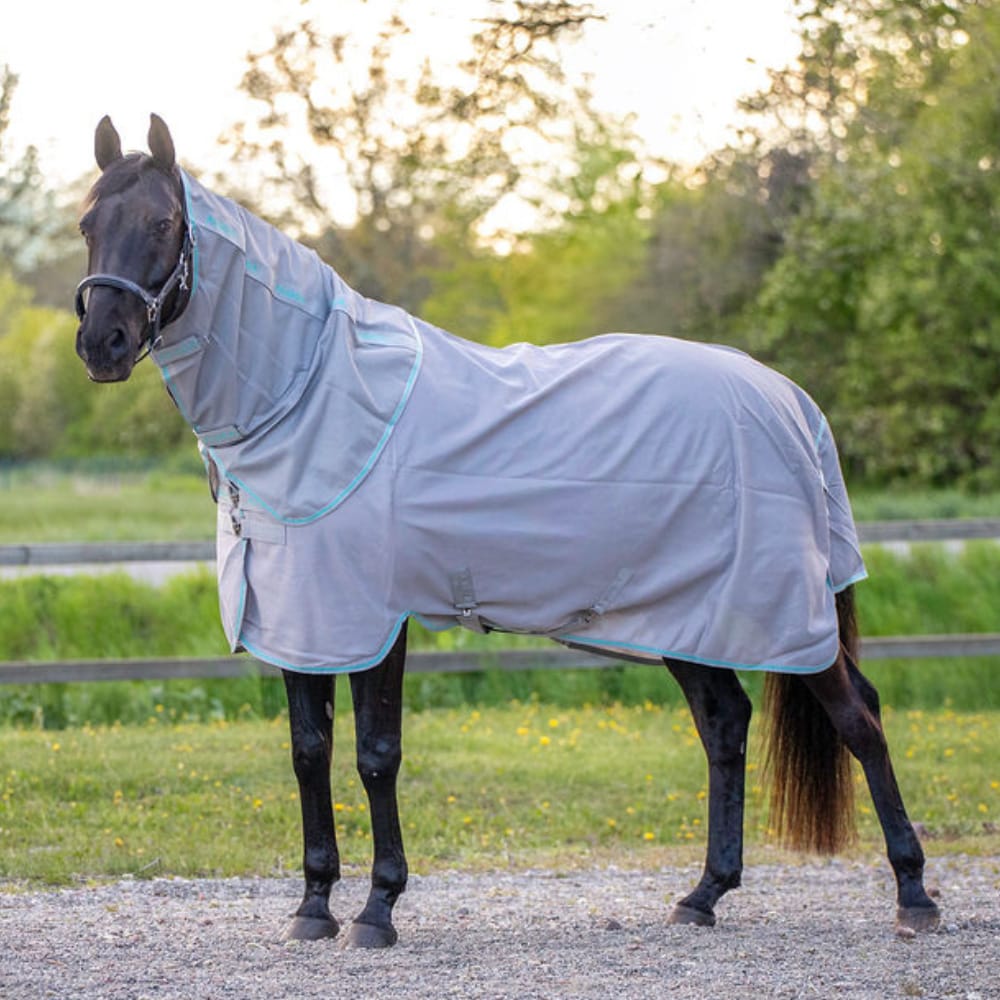 Flugtäcke  Fly Aloga Equestrian