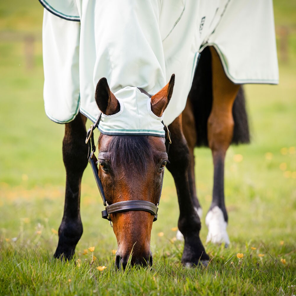 Eksemtäcke  Rambo Hoody Horseware®