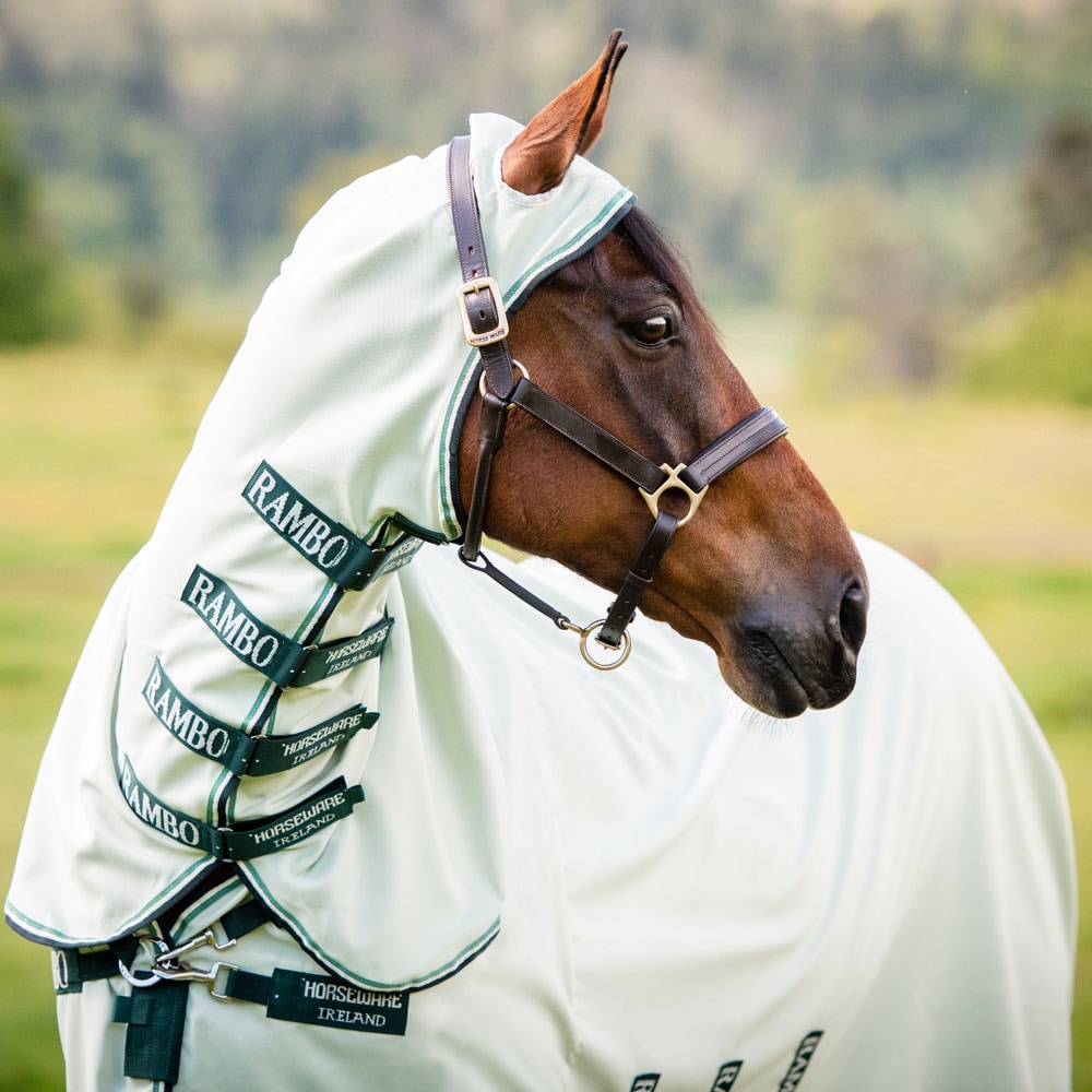 Eksemtäcke  Rambo Hoody Horseware®