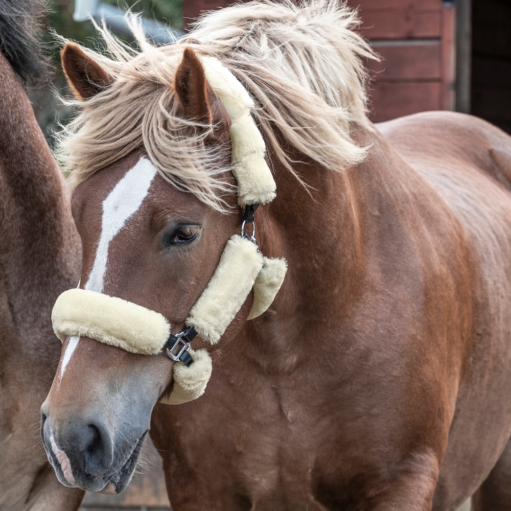 Luddset till grimma  Fairfield®