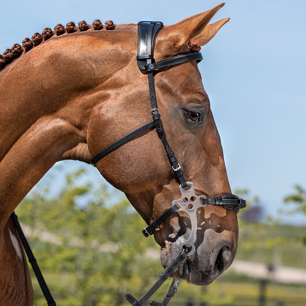 Hackamore Fairfield H ks Hackamore Fairfield H ks