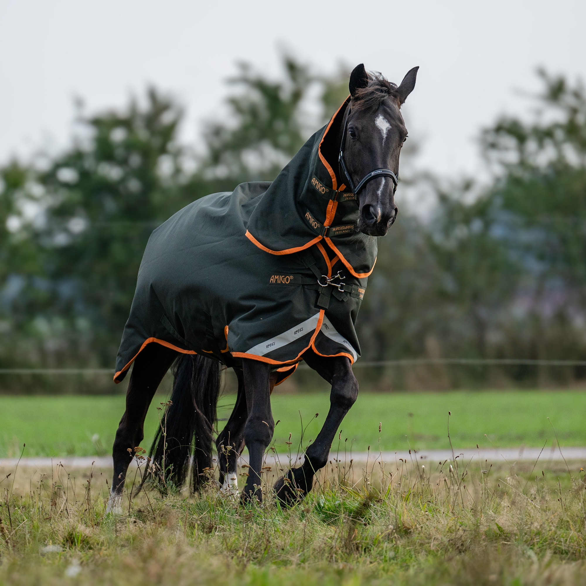 Regntäcke  Amigo Bravo 12 Plus 30 Horseware®