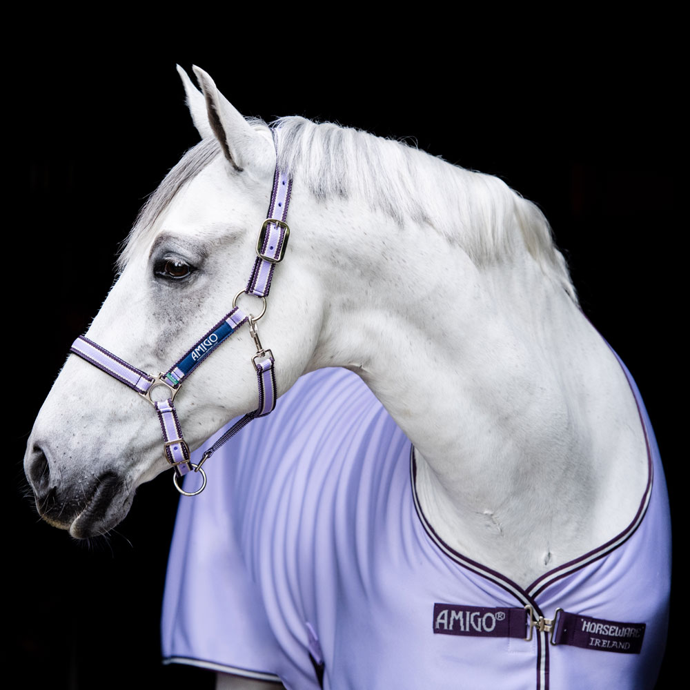 Stalltäcke  Amigo Jersey Cooler Horseware®